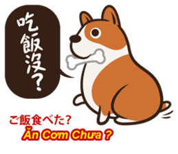 Corgi NANA Multilingual sticker #12923546