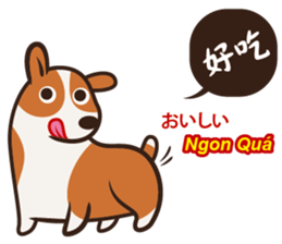 Corgi NANA Multilingual sticker #12923548