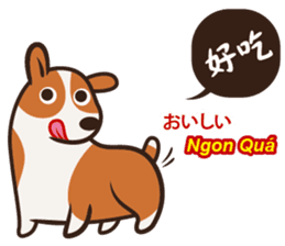 Corgi NANA Multilingual sticker #12923548