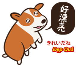 Corgi NANA Multilingual sticker #12923551