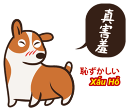 Corgi NANA Multilingual sticker #12923554