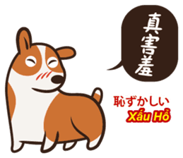 Corgi NANA Multilingual sticker #12923554