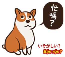 Corgi NANA Multilingual sticker #12923560