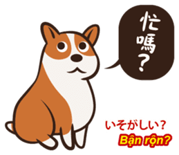 Corgi NANA Multilingual sticker #12923560
