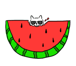cat with sunglasses all seasons sticker #12923786