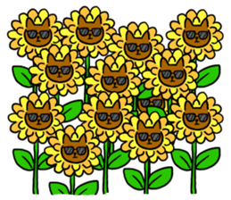 cat with sunglasses all seasons sticker #12923789