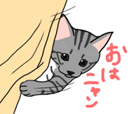 Nanako, the gray tabby kitty! sticker #12925446