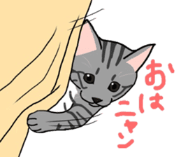 Nanako, the gray tabby kitty! sticker #12925446