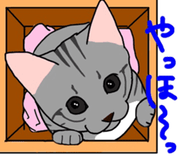 Nanako, the gray tabby kitty! sticker #12925447