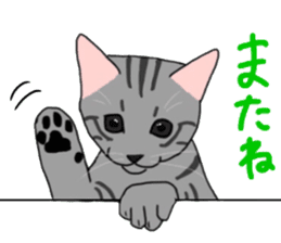 Nanako, the gray tabby kitty! sticker #12925449