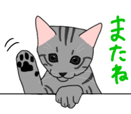 Nanako, the gray tabby kitty! sticker #12925449