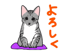 Nanako, the gray tabby kitty! sticker #12925450
