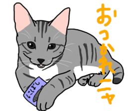 Nanako, the gray tabby kitty! sticker #12925451