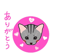 Nanako, the gray tabby kitty! sticker #12925452