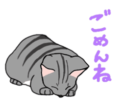Nanako, the gray tabby kitty! sticker #12925453