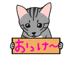 Nanako, the gray tabby kitty! sticker #12925455