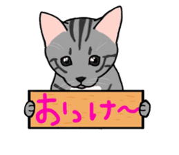 Nanako, the gray tabby kitty! sticker #12925455