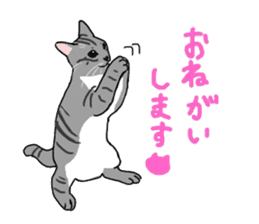 Nanako, the gray tabby kitty! sticker #12925457