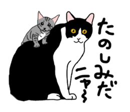 Nanako, the gray tabby kitty! sticker #12925458