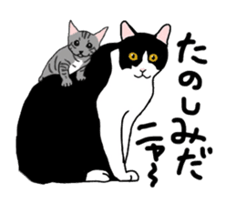 Nanako, the gray tabby kitty! sticker #12925458