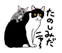 Nanako, the gray tabby kitty! sticker #12925458