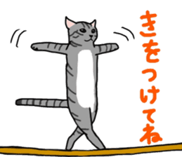 Nanako, the gray tabby kitty! sticker #12925459