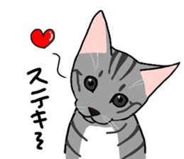 Nanako, the gray tabby kitty! sticker #12925461