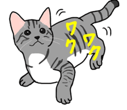 Nanako, the gray tabby kitty! sticker #12925463