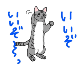Nanako, the gray tabby kitty! sticker #12925464