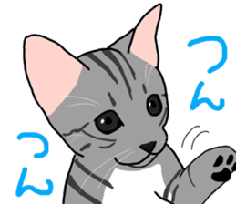 Nanako, the gray tabby kitty! sticker #12925465