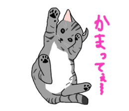 Nanako, the gray tabby kitty! sticker #12925467