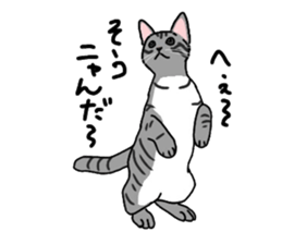 Nanako, the gray tabby kitty! sticker #12925473
