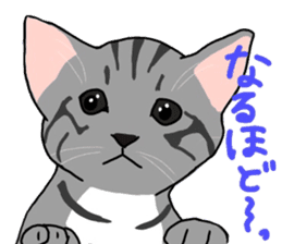 Nanako, the gray tabby kitty! sticker #12925474