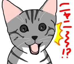 Nanako, the gray tabby kitty! sticker #12925476