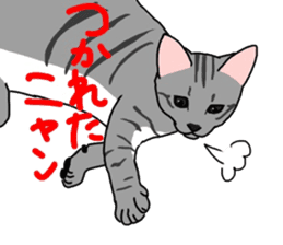 Nanako, the gray tabby kitty! sticker #12925480
