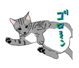 Nanako, the gray tabby kitty! sticker #12925481