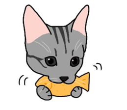 Nanako, the gray tabby kitty! sticker #12925482