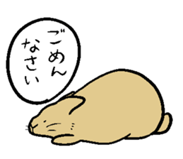 MUGICYA is rabbit. sticker #12925887