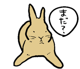 MUGICYA is rabbit. sticker #12925893