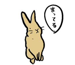 MUGICYA is rabbit. sticker #12925895