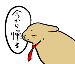 MUGICYA is rabbit. sticker #12925898