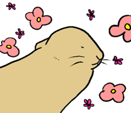 MUGICYA is rabbit. sticker #12925906