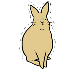 MUGICYA is rabbit. sticker #12925911