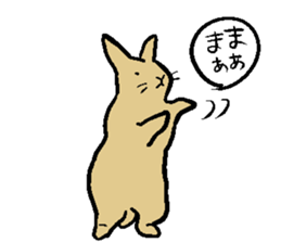 MUGICYA is rabbit. sticker #12925915