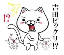 fcf cat part13 sticker #12927462
