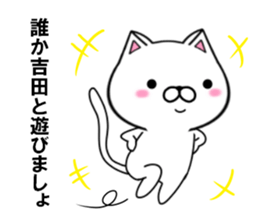 fcf cat part13 sticker #12927474