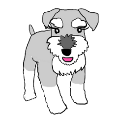 KAISER THE SCHNAUZER