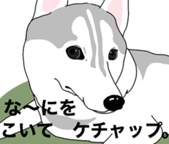 A Husky sticker 2. sticker #12927926