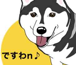 A Husky sticker 2. sticker #12927928