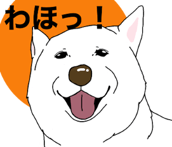 A Husky sticker 2. sticker #12927934